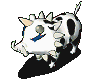 얼룩부이비